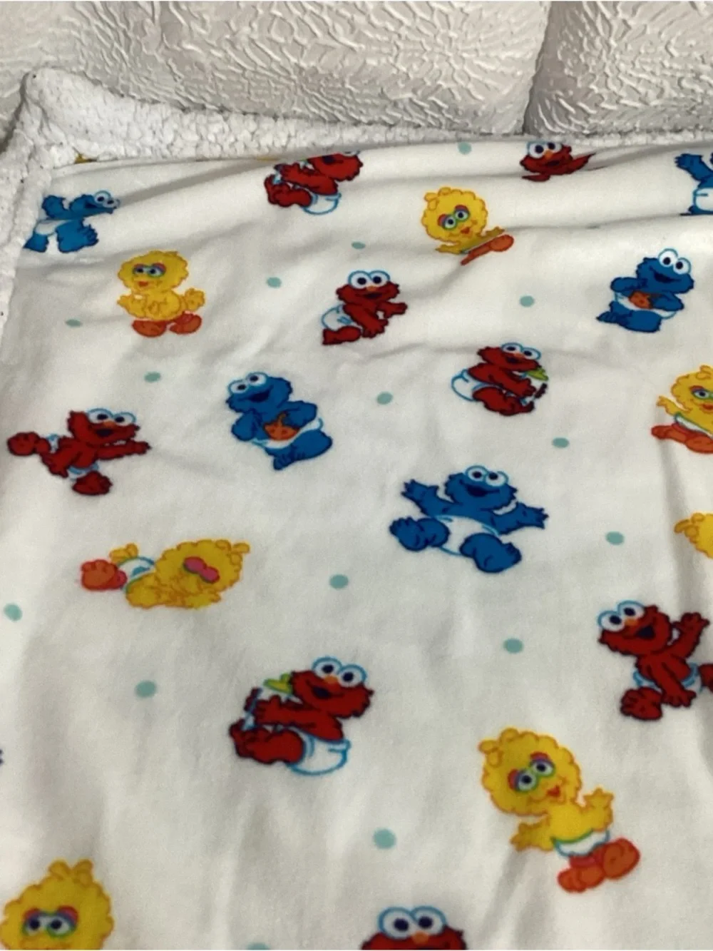 Vintage Sesame Street Babies Graphic Printed Baby Blanket Sherpa Back